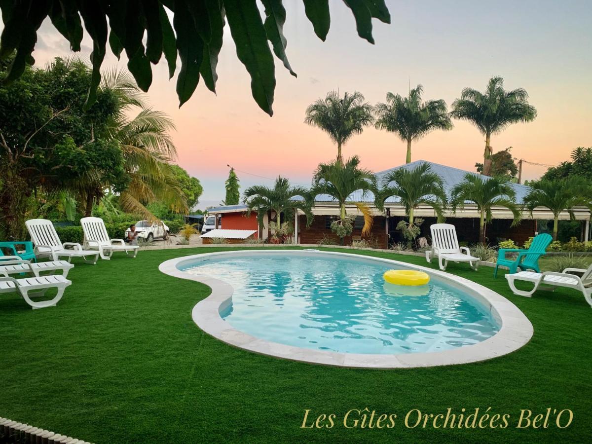 Les Gites Orchidees Bel'O Capesterre-Belle-Eau Ngoại thất bức ảnh