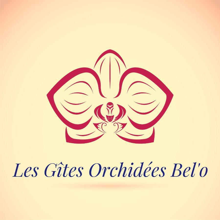Les Gites Orchidees Bel'O Capesterre-Belle-Eau Ngoại thất bức ảnh